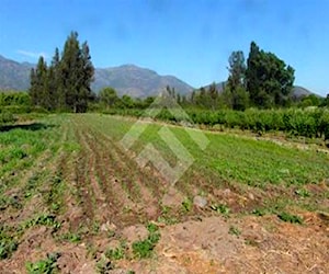 AGRICOLA Zuñiga Isla de Maipo 110377099