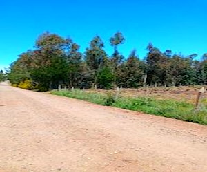 Terreno a 45 minutos de concepcion