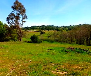 PARCELA Sector Peaje Huinanco Yumbel