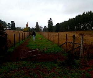 PARCELA Lautaro/Camino a Cherquenco