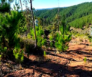 Terreno en pichilemu