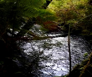 Terreno en chiloe