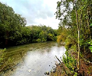 Parcela en bosques del maullin &#8230;