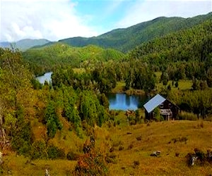 Campo en osorno &#8230;