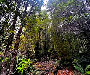 Rio sur - puerto varas &#8230;