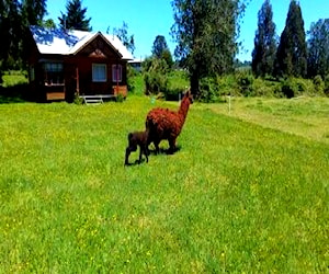 Cabañas Lago Ranco