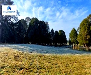 Parcelas desde 5.000 M2 en Cañitas , Los Muermos