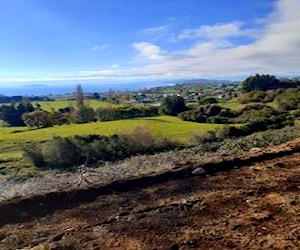 Vendo Parcela 5000m2 frente a Lago Ranco