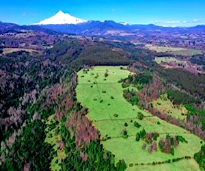 Alto Llaima Cherquenco Vilcún - Ruta A. Andina