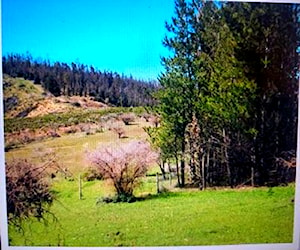 Terreno en Cauquenes