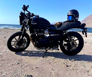 Triumph Street Twin 2019