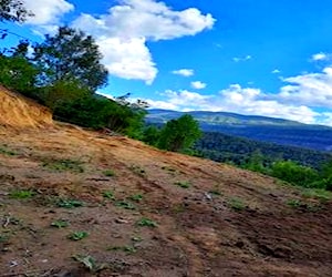 Parcela cordillerana sector pellines zona turstica