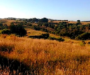 Parcela - Isla de Chiloé (Sector Guabún, en Ancud)