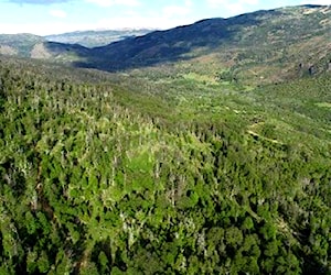  lotes de terrenos en Puerto Guadal