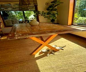 <p>Mesa comedor madera nativa</p>