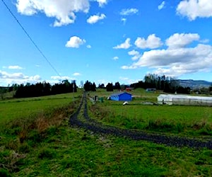 PARCELA SECTOR LOS COPIHUES A 19 KM DE VILLARRICA