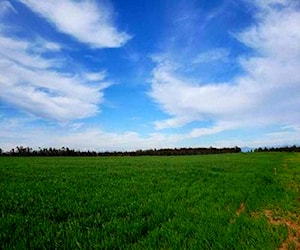 Parcelas de Agrado en Parral