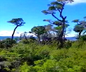 Parcela con vista al Lago Huillinco en Chiloé