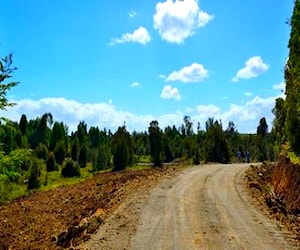 Terreno De 5115M2 Entre Puerto Varas/Puerto Montt