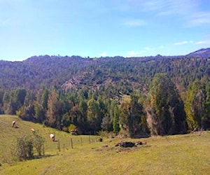 PARCELA Cordillera de Sarao Los Muermos