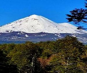 Bosques del llaima 