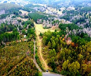 Campo en Osorno