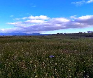 Terreno en Guanaqueros de 5.300m  