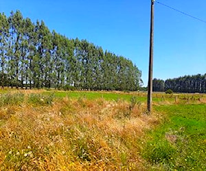 Lindas parcelas agricolas Rol propio osorno