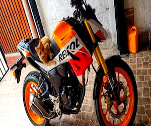 Moto honda repsol 190 nueva