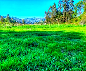 Terreno 1.000 mt2 Las Gaviotas, Valdivia