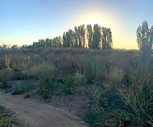 Terreno 1 Hectárea en LINARES