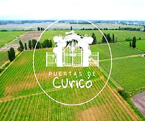 Proyecto Puertas de Curicó IIII, PARCELAS 5000M2