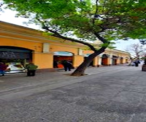 Local Comercial en Mercado Central de Santiago