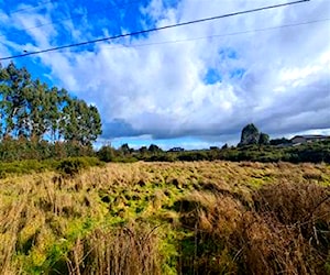 PARCELA Linea Vieja Puerto Varas