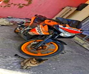 Honda Cbr 250