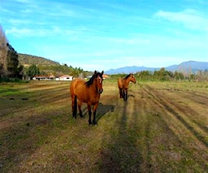 TERRENO CONSTRUCCION camino Mallarauco - Fu&#8230;