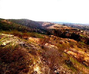 Avenida los Laureles, Limache &#8230;