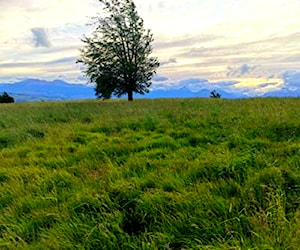 Parcela Sector El Fraile a 17km de Coyhaique