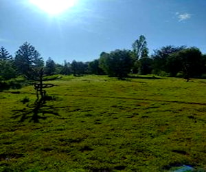 Hermoso campo sector San Miguel de Itata, Yungay