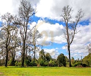 Se venden hermosas parcelas camino a Cunco 5000m2