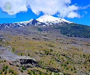 Fundo La Floresta