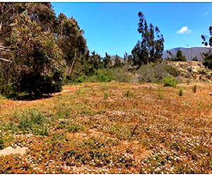 Sitio Camino al Valle Coquimbo La Serena