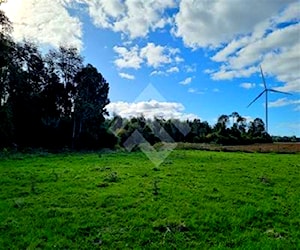 PARCELA a 3 km de loncotoro Llanquihue 114388321