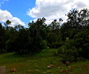 Terreno en santa cruz  