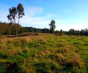 Terrenos purranque, region de los lagos