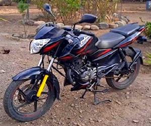 Pulsar 135