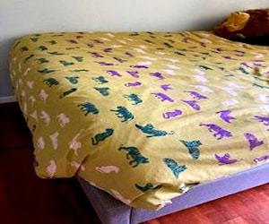 Base de cama Rose+ colchón + plumón + ropa de cama