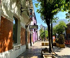 CASA Dardignac y Belavista Providencia 101386705