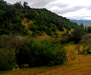 Vendo Parcela en Rauco, Septima Region