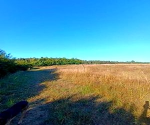 Hermoso campo en los alamos